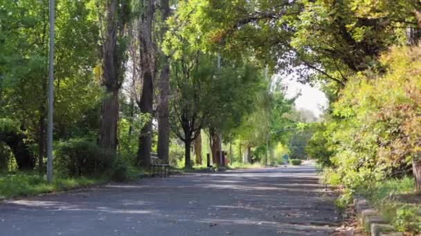 Lapso Tempo Pessoas Andando Bicicleta Parque Durante Uma Manhã Agradável — Vídeo de Stock