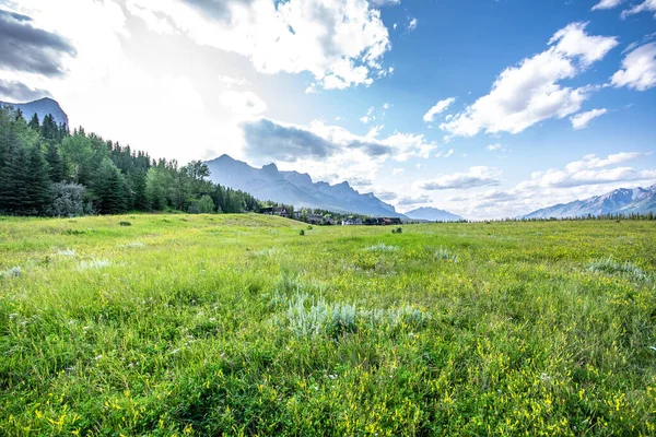 Panorama Dağı ve Trans Canada Trail, Canmore Alberta 'daki yeşil çim tarlası. Yüksek Kalite Fotoğraf