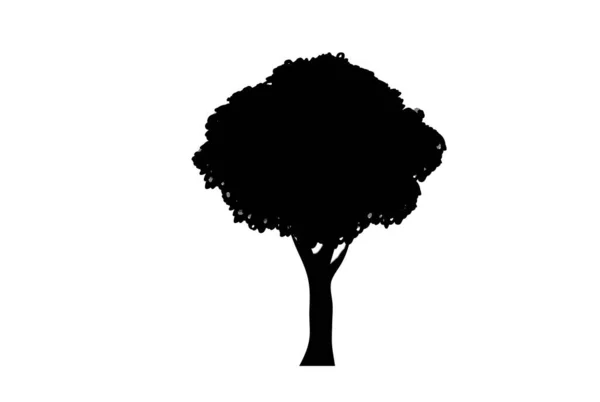 Różnorodność Drzewa Ilustracja Wektora — Wektor stockowy