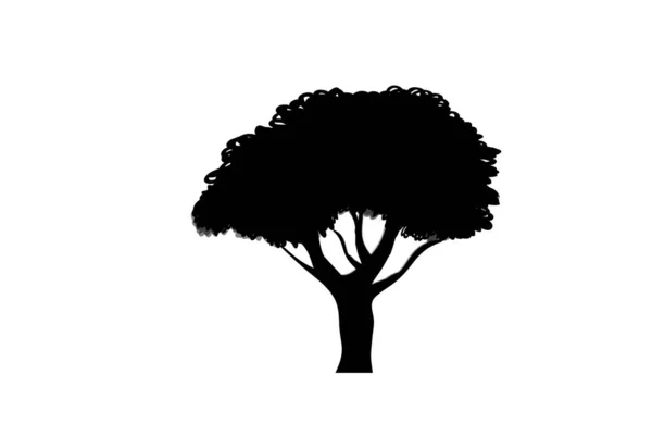 树的多样性 矢量说明 — 图库矢量图片