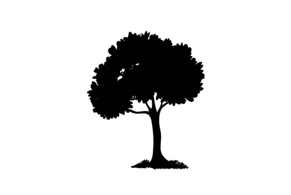 Ağaç Çeşitliliği Vektör Llüstrasyonu — Stok Vektör