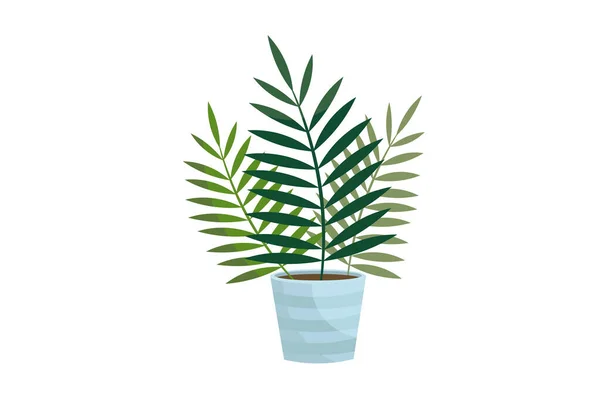 Realistic Vector Illustration Potted Plants Interior Isolated White Background — Stock Vector