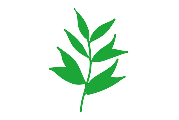 Zelené Oblíbené Kulinářské Byliny Ploché Obrázky Kreslený Tymián Petržel Rozmarýn — Stockový vektor