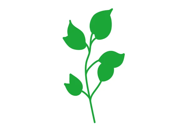 Tumbuhan Herbal Kuliner Hijau Populer Kartun Thyme Peterseli Rosemary Bijak - Stok Vektor