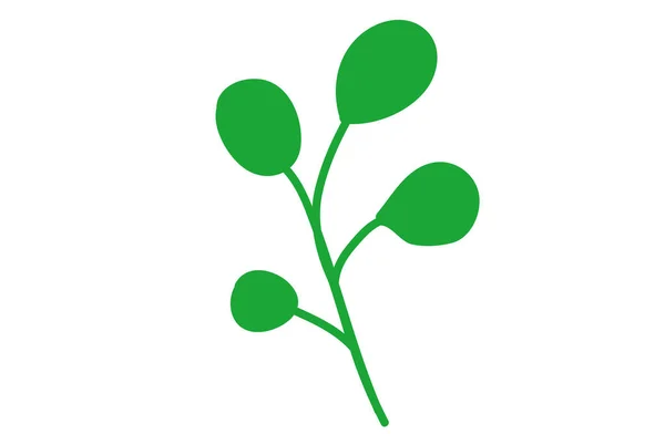 Herbes Culinaires Populaires Vertes Images Plates Dessin Animé Thym Persil — Image vectorielle