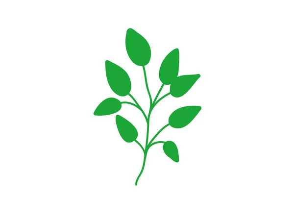 Tumbuhan Herbal Kuliner Hijau Populer Kartun Thyme Peterseli Rosemary Bijak - Stok Vektor