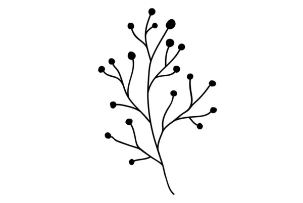 Silhouette Herbs Vector Spices Vector Illustration Herbs Garden Isolated White — Stock Vector