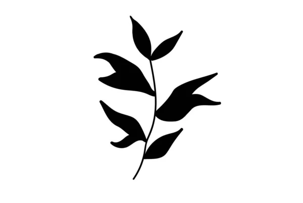 Silhouette Herbs Vector Especias Vector Ilustración Hierbas Jardín Aislado Sobre — Archivo Imágenes Vectoriales