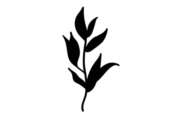 Silhueta Herbs Vetor Especiarias Ilustração Vetorial Jardim Ervas Isolado Fundo —  Vetores de Stock
