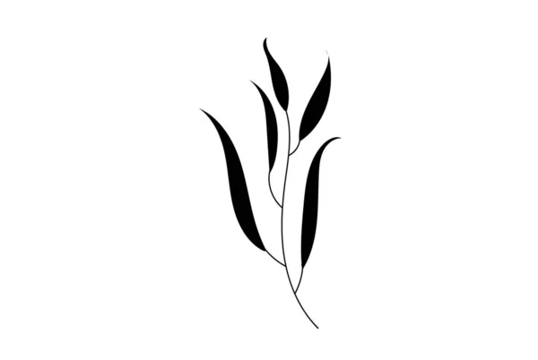 Silueta Herbs Vektor Vektor Koření Ilustrace Bylinky Zahrada Izolované Bílém — Stockový vektor