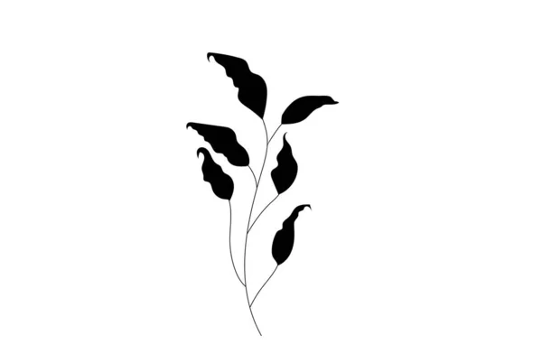 轮廓草本矢量和香料矢量插图 白色背景隔离的草木花园 — 图库矢量图片