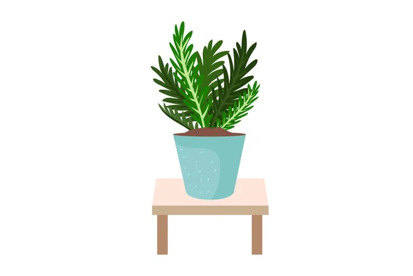 Trendy Home Decor Plants Tropical Leaves Vector Illustration — Stock Vector