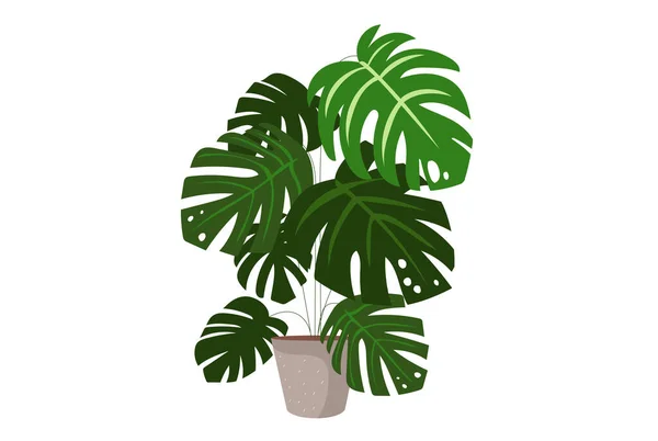 Bitkilerle Tropikal Yapraklarla Moda Dekorasyonu Vektör Illüstrasyonu — Stok Vektör