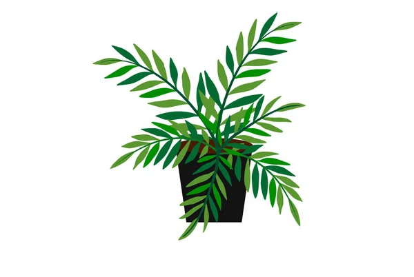Модный Домашний Декор Растениями Тропическими Листьями Векторная Иллюстрация — стоковый вектор