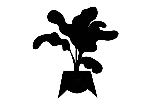 Силуэты Комнатных Садовых Растений Горшках Стендах Графические Иллюстрации — стоковый вектор