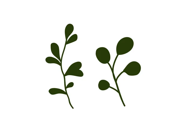 양치류 대푸른 나무의 예술은 식물을 잎으로 설계를 — 스톡 벡터
