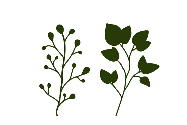 緑の森シダ 熱帯緑のユーカリの緑の芸術の葉の自然のハーブ デザインのイラスト — ストックベクタ