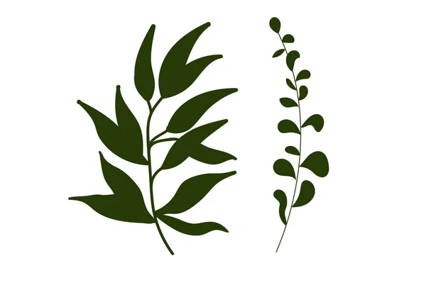 양치류 대푸른 나무의 예술은 식물을 잎으로 설계를 — 스톡 벡터