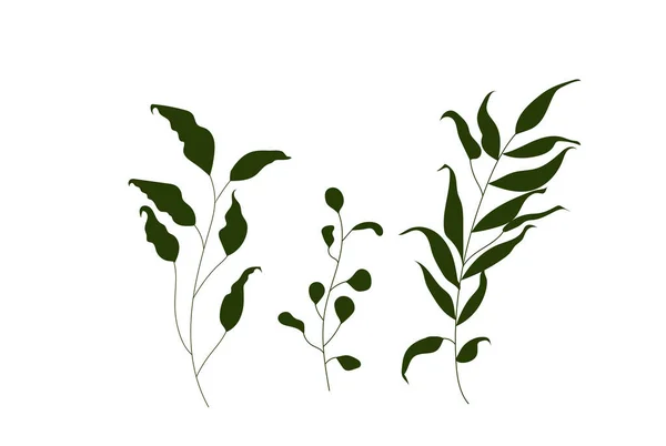 緑の森シダ 熱帯緑のユーカリの緑の芸術の葉の自然のハーブ デザインのイラスト — ストックベクタ