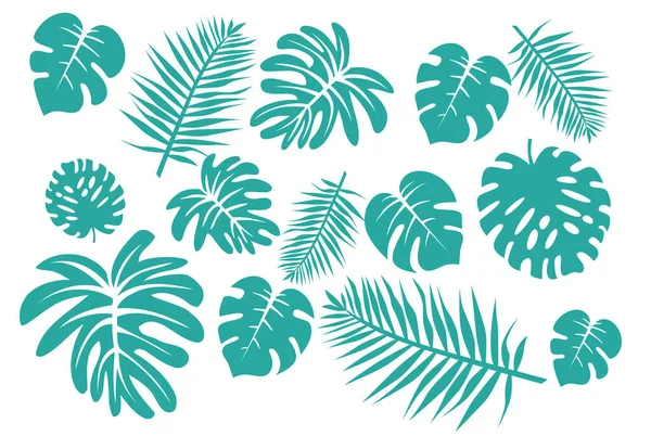 Коллекция Тропических Листьев Белом Фоне — стоковый вектор