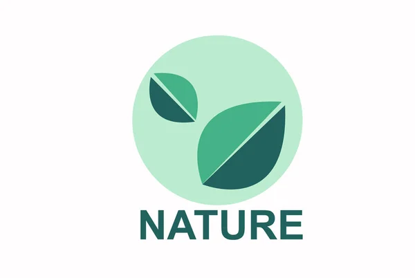 Eco Green Ideal Für Webposter Präsentationsvorlagen Für Naturprodukte Coverdesign Vektor — Stockvektor