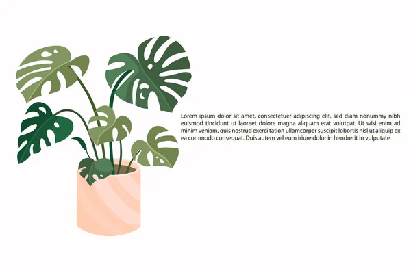 Trendy Home Decor Plants Cacti Tropical Leaves Stylish Planters Pots — Vettoriale Stock