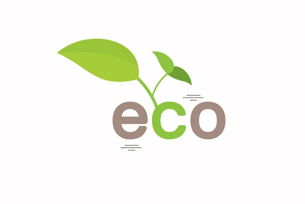 Eco Friendly Vector Illustration — Stockvector