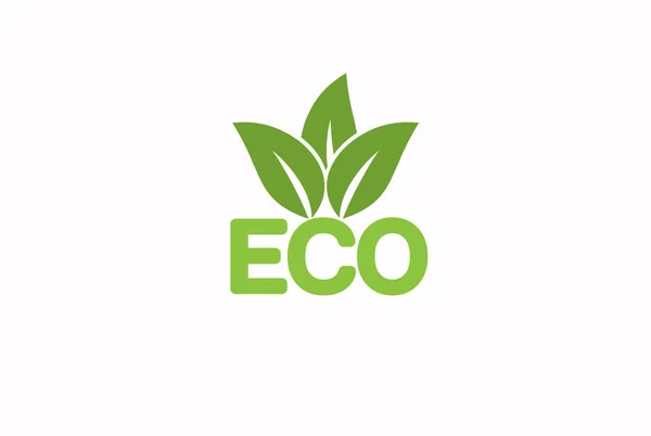 Eco Friendly Vector Illustration — Stock Vector
