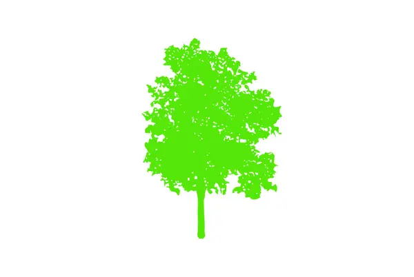 Orman Doğa Kavramı Farklı Ağaç Sembolleri Koleksiyonu Eğitim Eğitim Poster — Stok Vektör