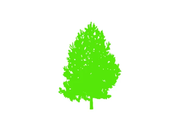 Concetto Foresta Natura Raccolta Diversi Simboli Dell Albero Disegno Poster — Vettoriale Stock