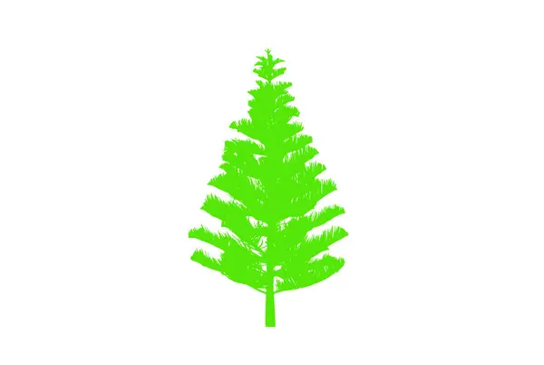 Conceito Floresta Natureza Coleção Diferentes Símbolos Árvores Projeto Cartaz Educação —  Vetores de Stock