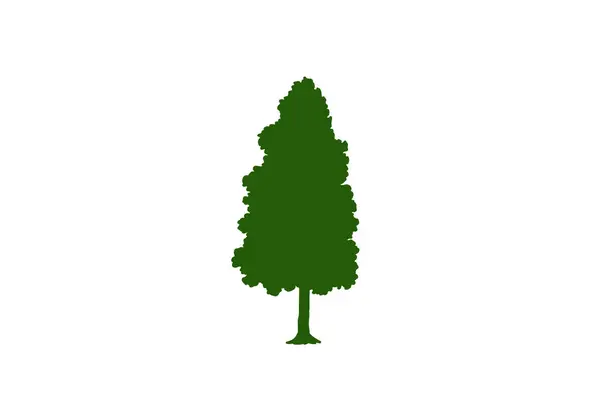 Концепція Лісу Природи Збірка Різних Символів Дерева Дизайн Навчального Плакату — стоковий вектор