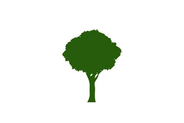 Koncept Lesa Přírody Kolekce Různých Symbolů Stromů Vzdělávání Školení Design — Stockový vektor