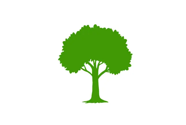 Концепция Леса Природы Коллекция Различных Символов Дерева Проектирование Учебных Плакатов — стоковый вектор