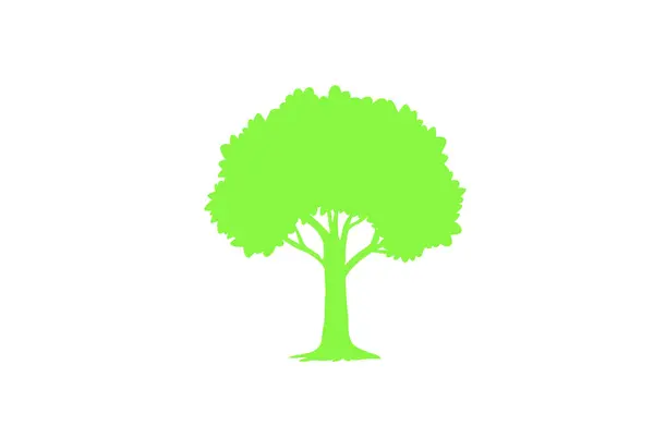 Erdő Természet Koncepció Különböző Szimbólumok Gyűjteménye Oktatási Képzési Plakát Kialakítása — Stock Vector