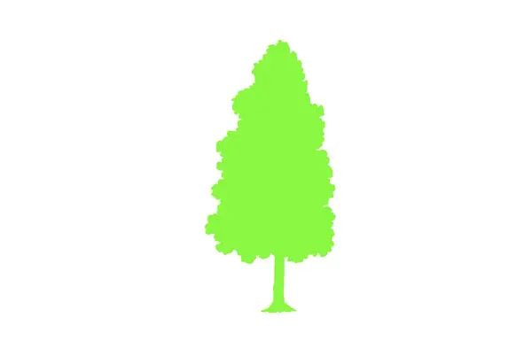 Conceito Floresta Natureza Coleção Diferentes Símbolos Árvores Projeto Cartaz Educação —  Vetores de Stock