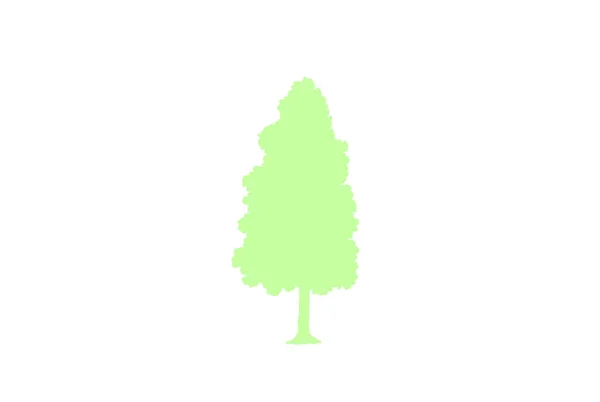Концепция Леса Природы Коллекция Различных Символов Дерева Проектирование Учебных Плакатов — стоковый вектор
