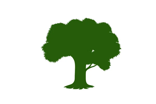森と自然のコンセプト 異なるツリーシンボルのコレクション 教育とトレーニングポスターデザイン ストックイラスト