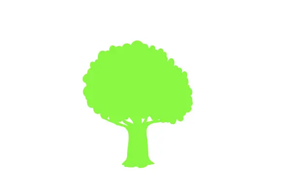 森と自然のコンセプト 異なるツリーシンボルのコレクション 教育とトレーニングポスターデザイン ロイヤリティフリーのストックイラスト