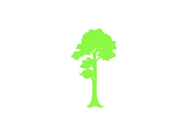 森と自然のコンセプト 異なるツリーシンボルのコレクション 教育とトレーニングポスターデザイン ベクターグラフィックス