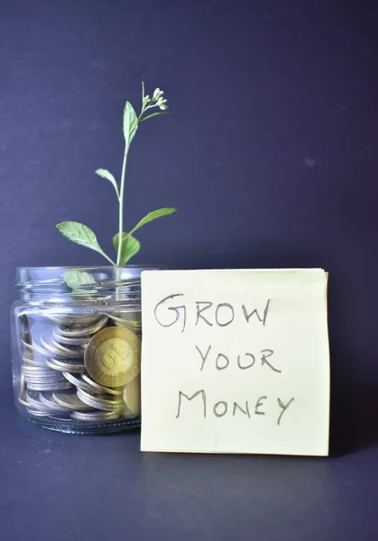 Selective Focus Picture Finance Concept Grow Your Money Indian Economy — Stock Photo, Image