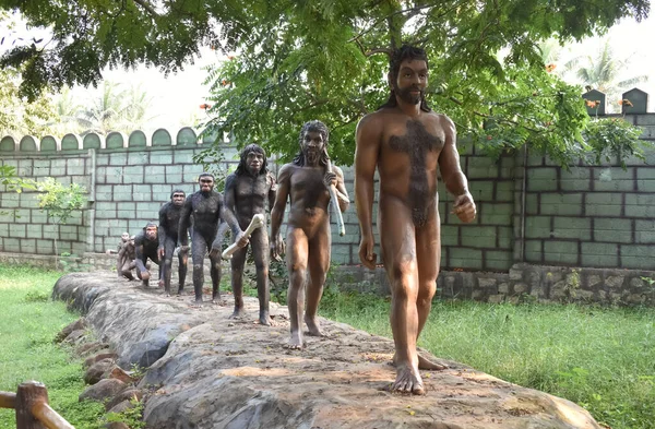 Hindistan 'daki Park' a yerleştirilmiş insan evrimi heykelinin seçici odak noktası.