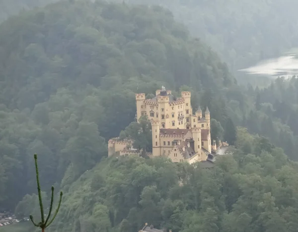 Uma Bela Vista Castelo Neuschwanstein Uma Montanha Alemanha Contra Fundo — Fotografia de Stock