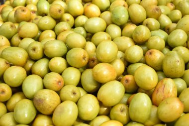 A closeup view of a Indian Plum or Jujube, which is a unique tropical Fruits in day light for Fruit texture