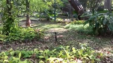 Şehir bahçesinde gündüz vakti çalışan bir su fıskiyesinin videosu. 