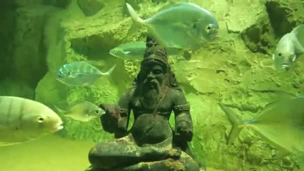Nagranie Starożytnej Indyjskiej Rzeźby Ukrytej Pod Głębokim Morzem — Wideo stockowe