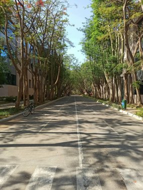 Yol kenarına dikilmiş çalılar ve ağaçlarla kentsel alanda güzel bir yol manzarası.