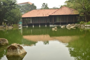 Hindistan 'da bir köyde yeşil yosunların bulaştığı göletin manzaralı bir resmi..