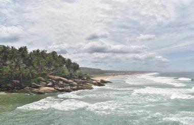 Sıcak ve nemli bir günde, Kerala, Hindistan 'da çeşitli ağaçlarla sahilin manzarası.