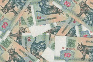 Belarus 'tan gelen para birimi, Belarus banknotları. Belarus 'tan gelen parayı kapat. Belarus Ruble3D canlandırması